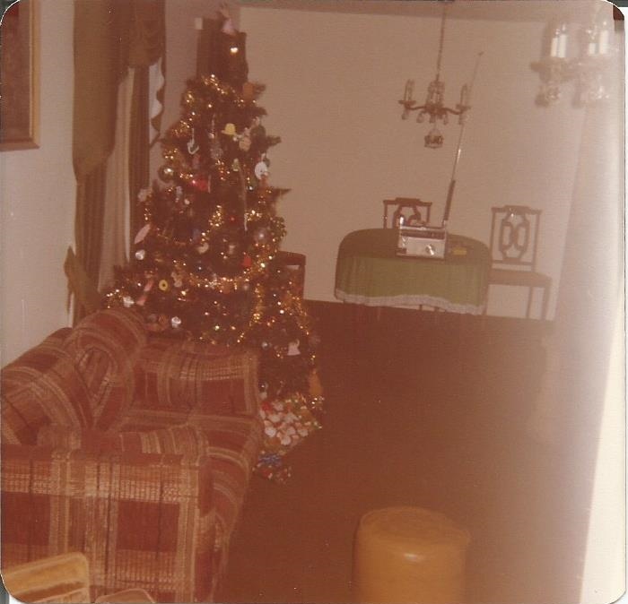 Christmas 1982 I
